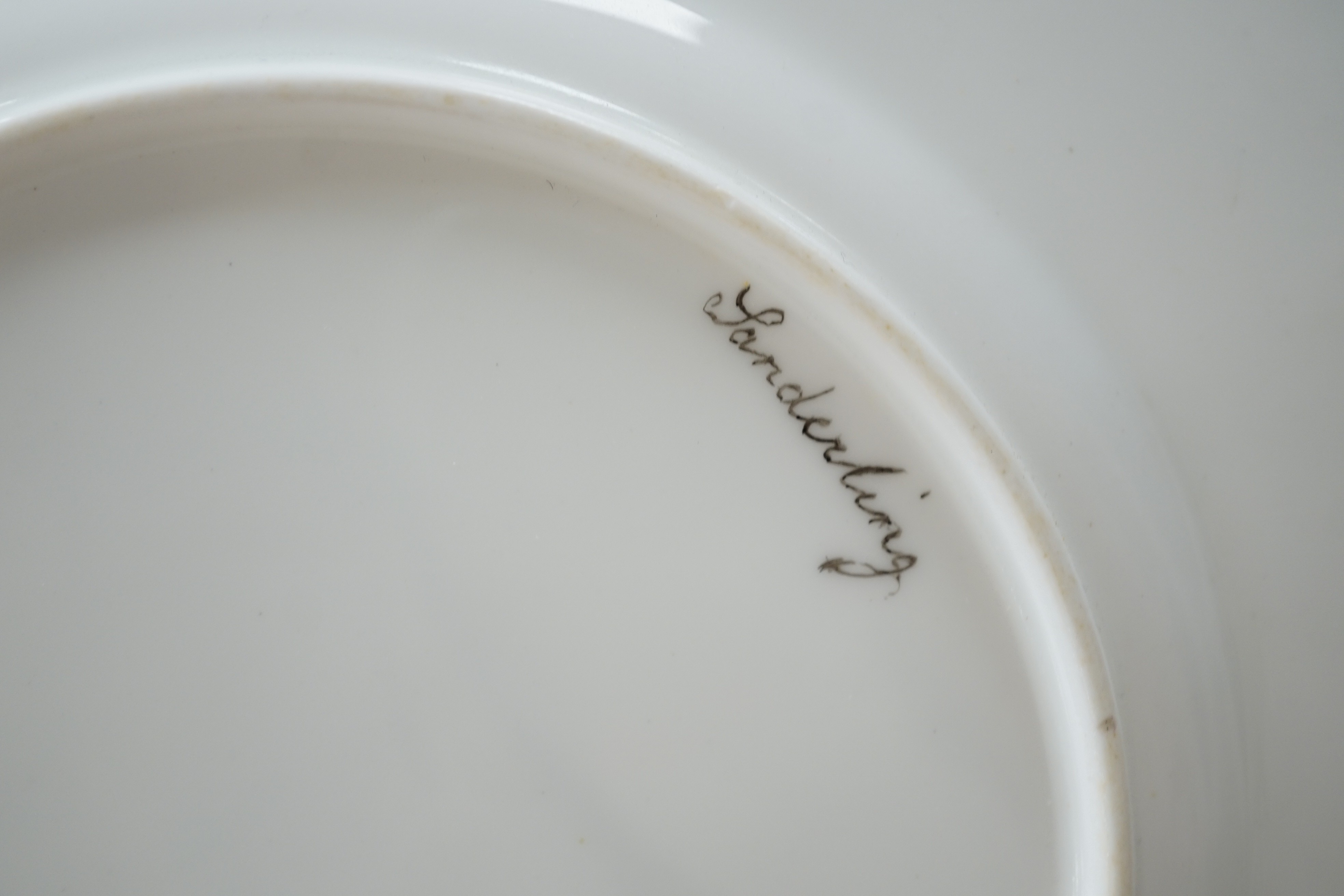 A set of nine Victorian porcelain ornithological plates, 23cm diameter